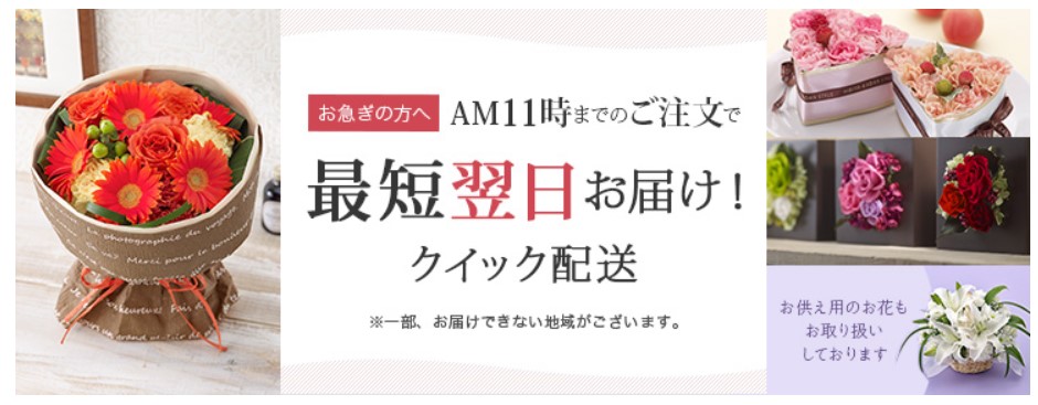 最短翌日発送のクイック発送がありがたい