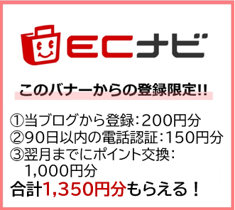 友達紹介キャンペーンまとめ　ECナビ　友達紹介キャンペーン（202408）