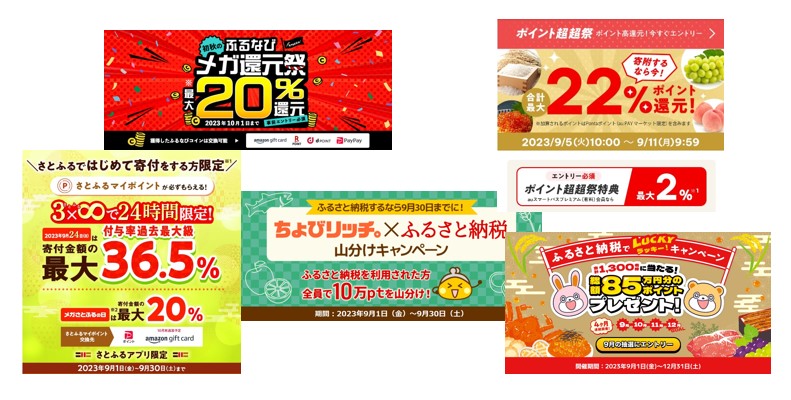 ふるさと納税5選（2023年9月）改悪前のかけこみ納税　サムネ2