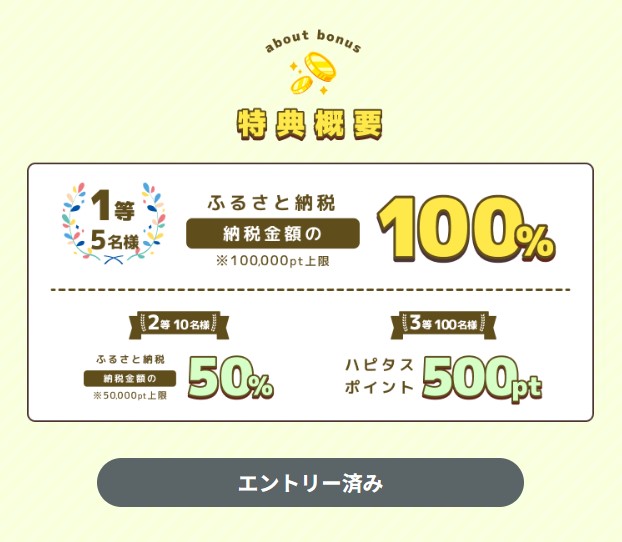 ふるさと納税まとめ　　ふるさと納税最大全額戻って来るキャンペーン（2023年12月）2