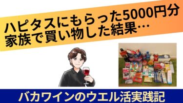 ハピタスにもらった5000円分を家族で買い物した結果