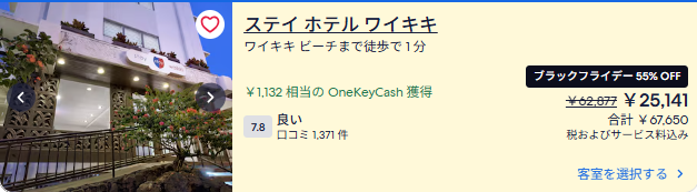 エクスペディア　ブラックフライデーセール例　国外1