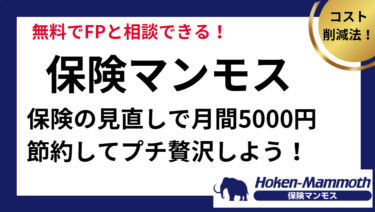 保険マンモス　保険の見直しで月5000円節約
